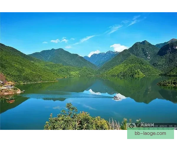 2026世界杯官方推出绿色出行奖励计划助力环保行动